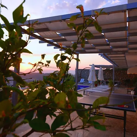 Tiger Villas Exclusive
